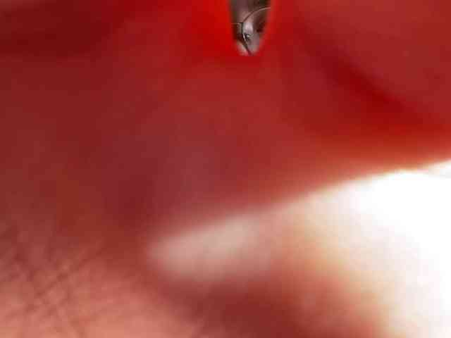 Mikiora webcam