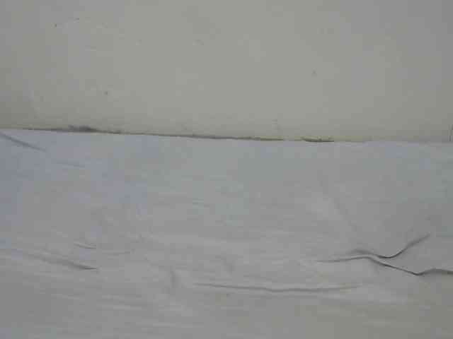 Fay20 webcam