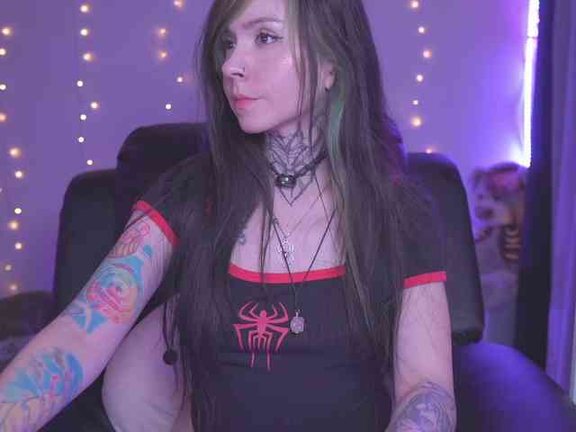 Vkatt webcam