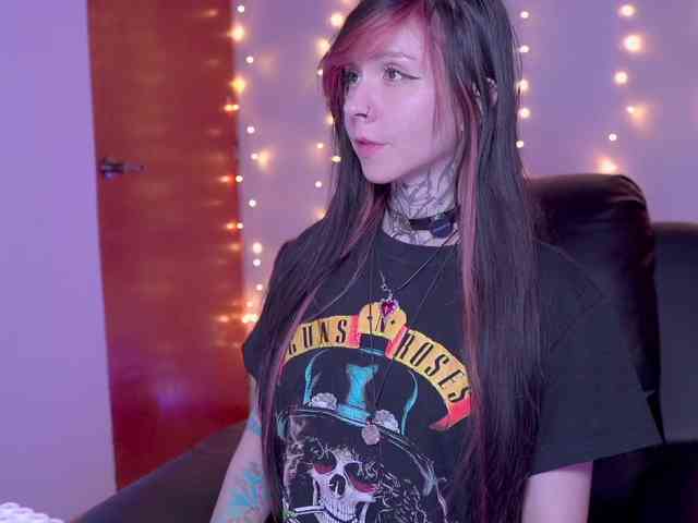 Vkatt webcam