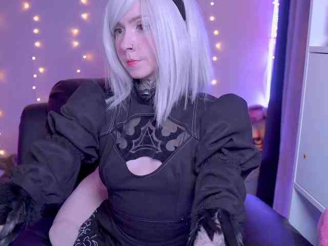 Vkatt webcam