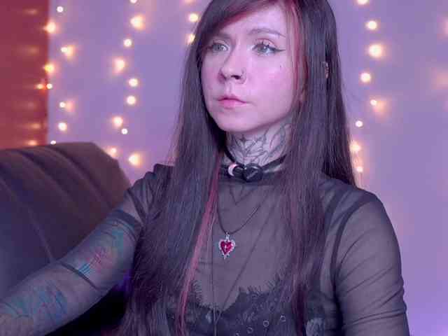 Vkatt webcam