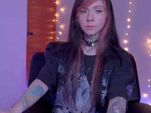 Vkatt webcam