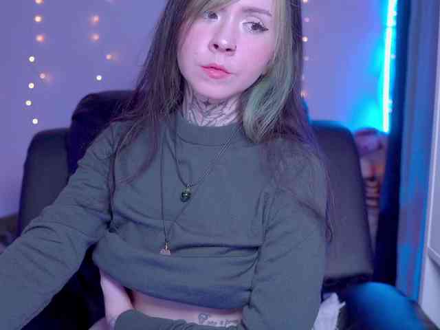 Vkatt webcam