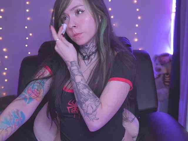 Vkatt webcam
