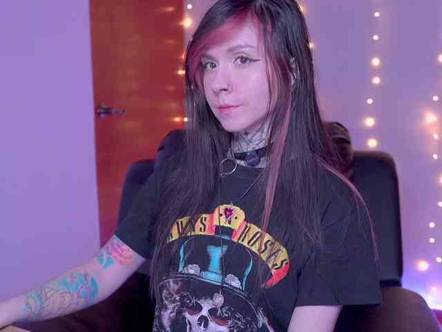 Vkatt webcam