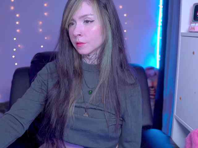 Vkatt webcam