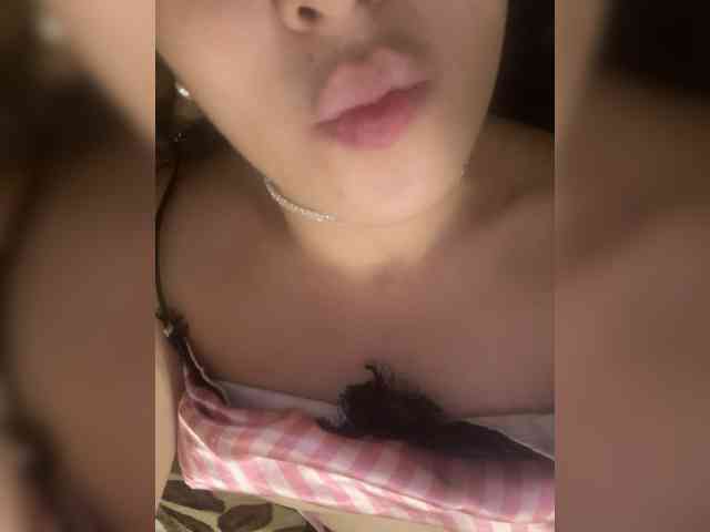Mary-swallow webcam
