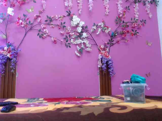 starfishanal21 webcam