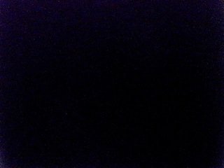 miss-midnight Porn Show