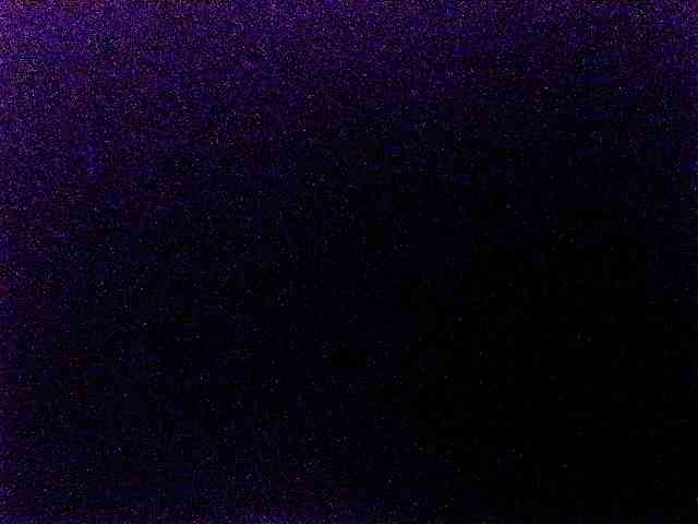 miss-midnight webcam