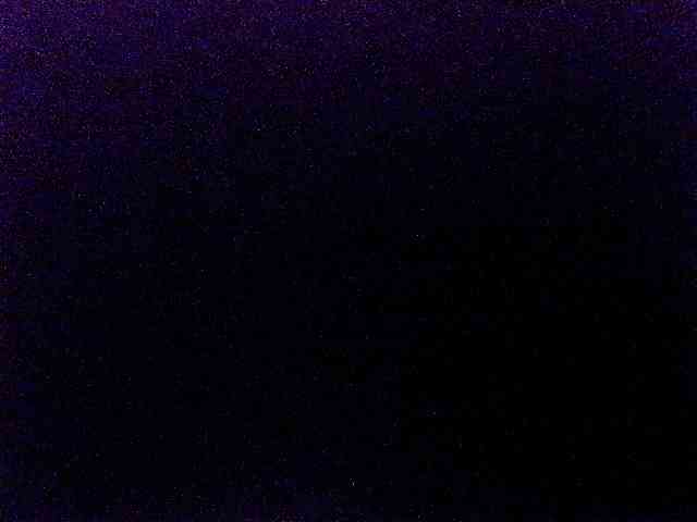 miss-midnight webcam