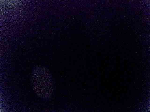 miss-midnight webcam