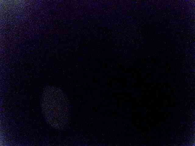 miss-midnight webcam
