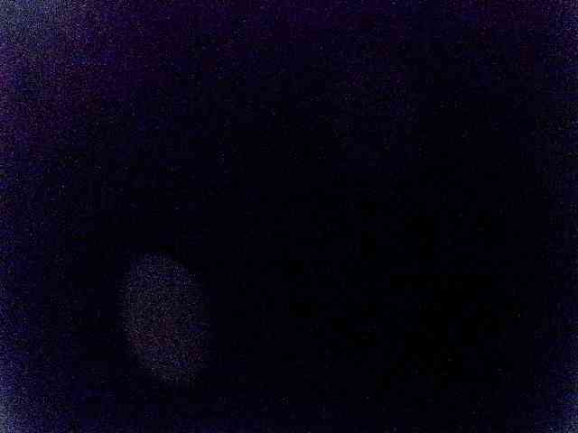 miss-midnight webcam