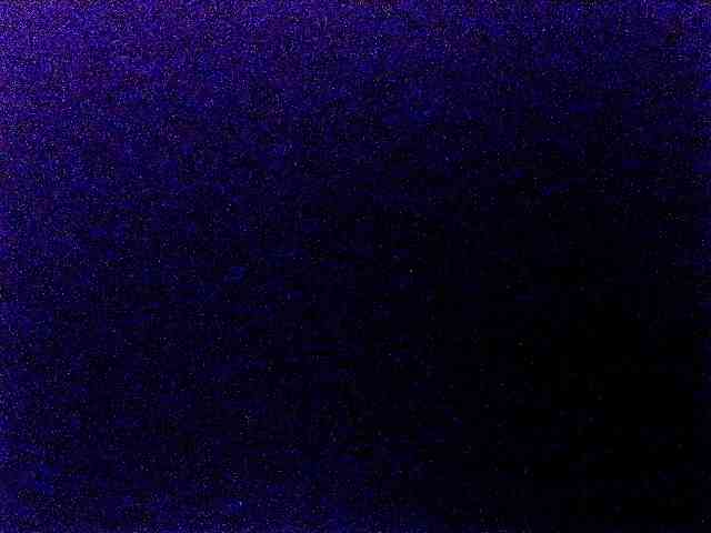 miss-midnight webcam