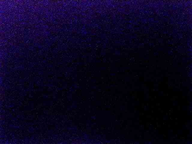 miss-midnight webcam