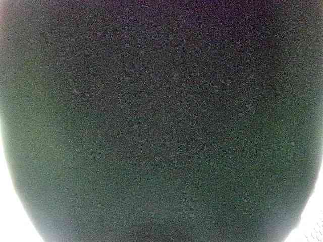 miss-midnight webcam