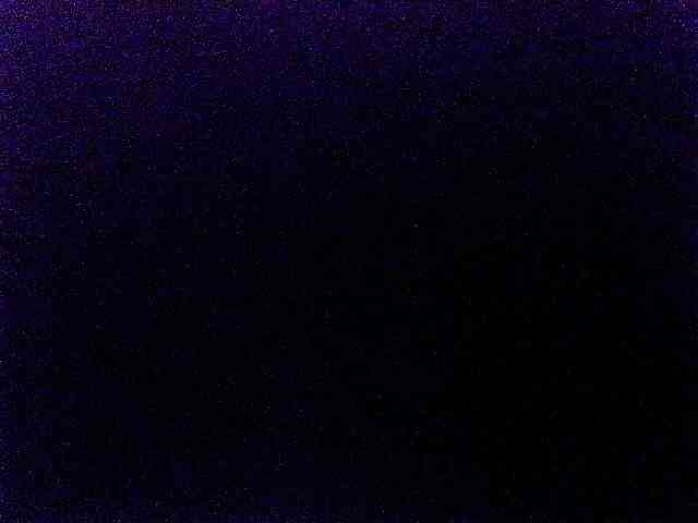 miss-midnight webcam