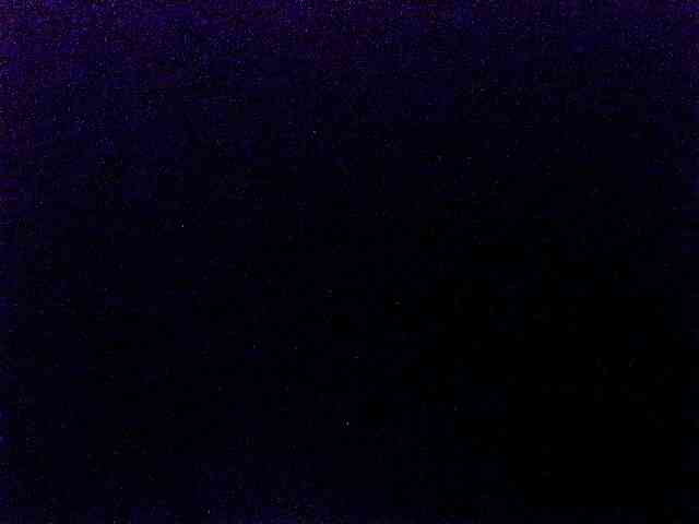miss-midnight webcam