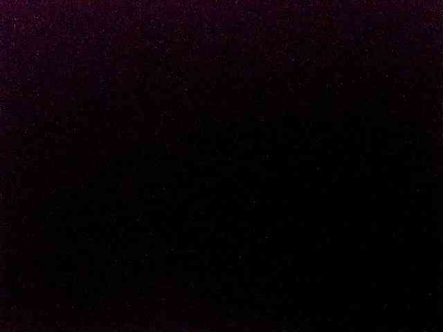 miss-midnight webcam
