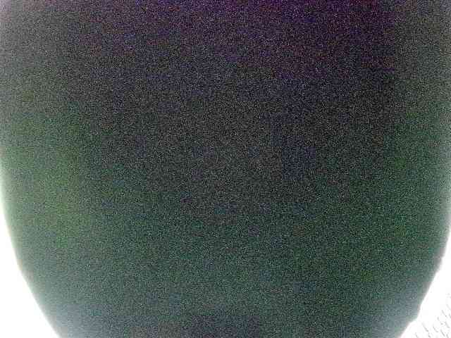 miss-midnight webcam