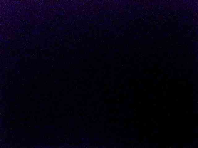 miss-midnight webcam