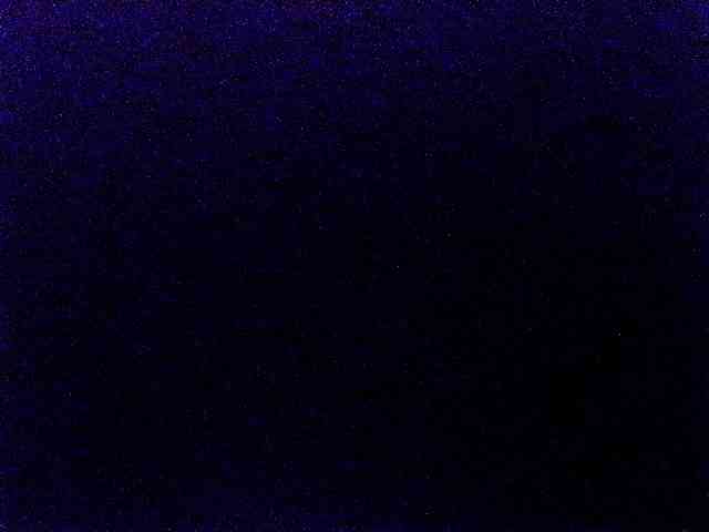 miss-midnight webcam