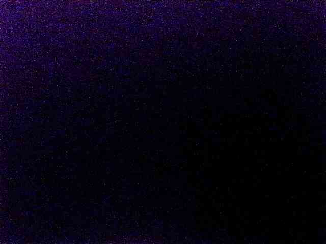 miss-midnight webcam