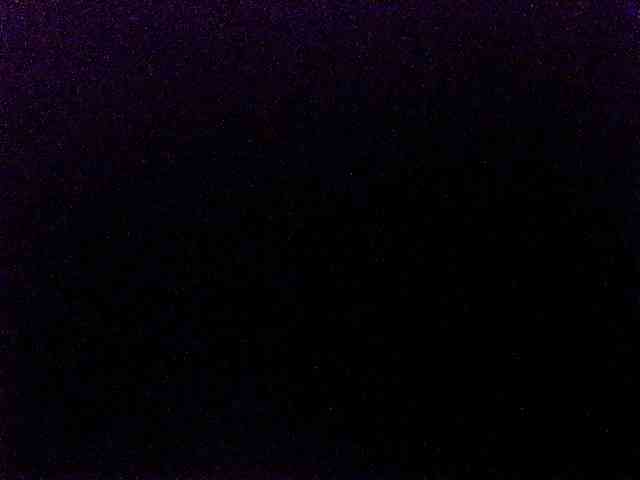 miss-midnight webcam