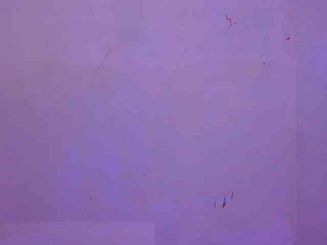 Twilights22 webcam