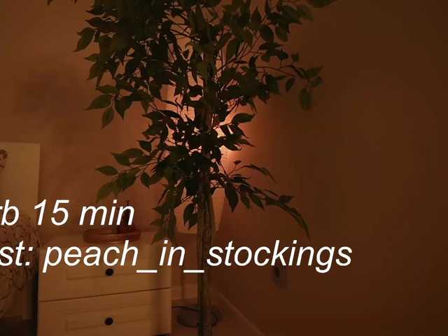 peachinstockings live cam on BongaCams