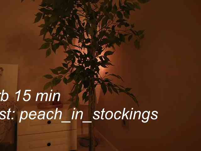 Peach_in_stockings's live stream