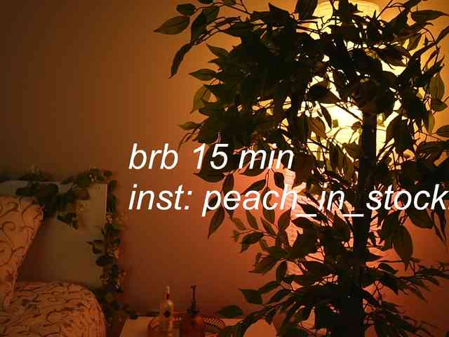 peach_in_stockings webcam