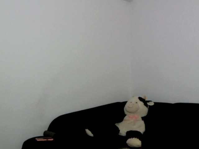 Sandra-Sayd live cam on BongaCams