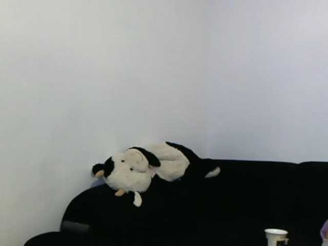 Sandra-Sayd live cam preview