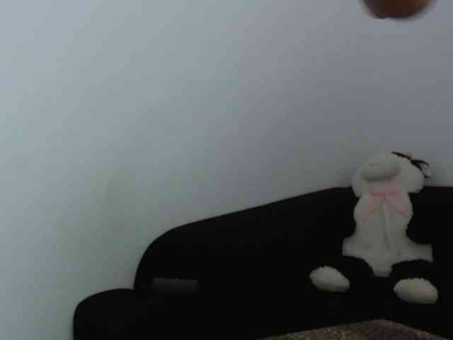 Sandra-Sayd webcam