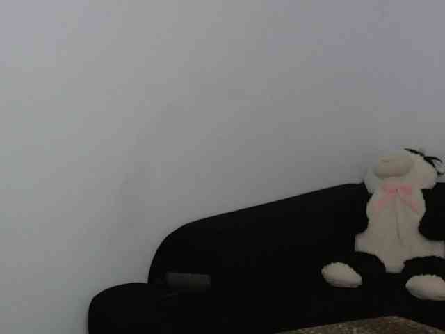 Sandra-Sayd webcam