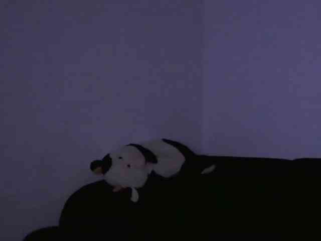 Sandra-Sayd webcam