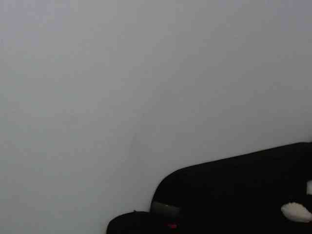 Sandra-Sayd webcam