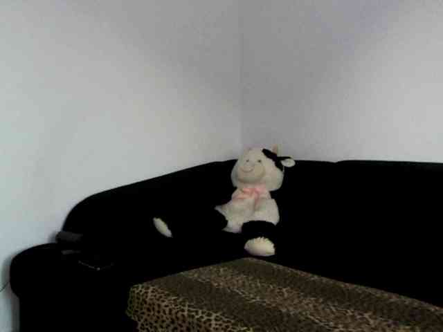 Sandra-Sayd webcam