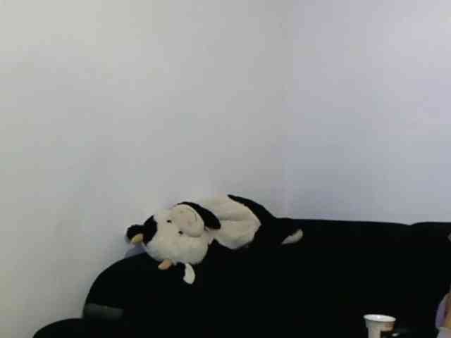 Sandra-Sayd webcam