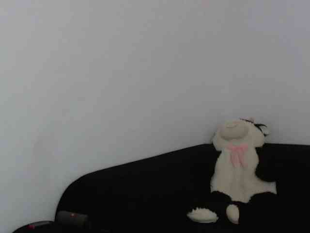 Sandra-Sayd webcam