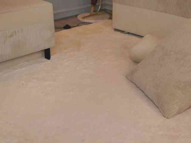 EmmaNoor webcam