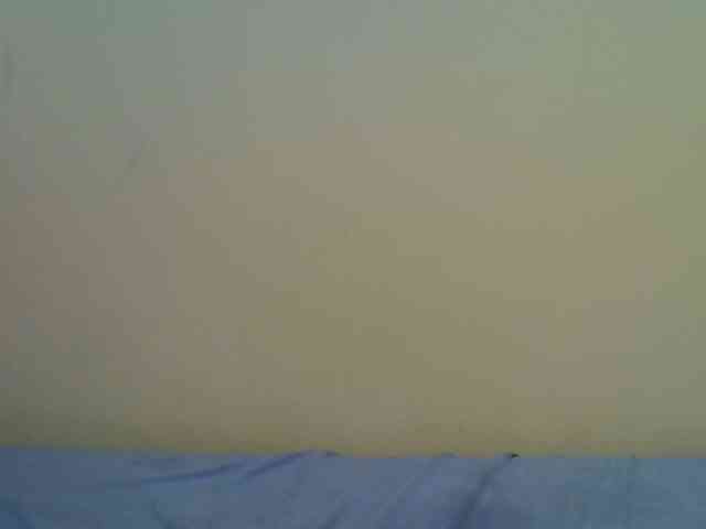 Slutty-rihh webcam