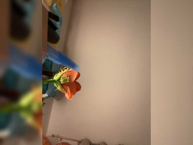 Sexu-Girl live cam on BongaCams