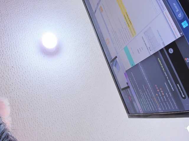 CatalinaFox live cam on BongaCams