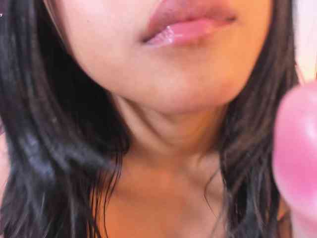 CatalinaFox webcam