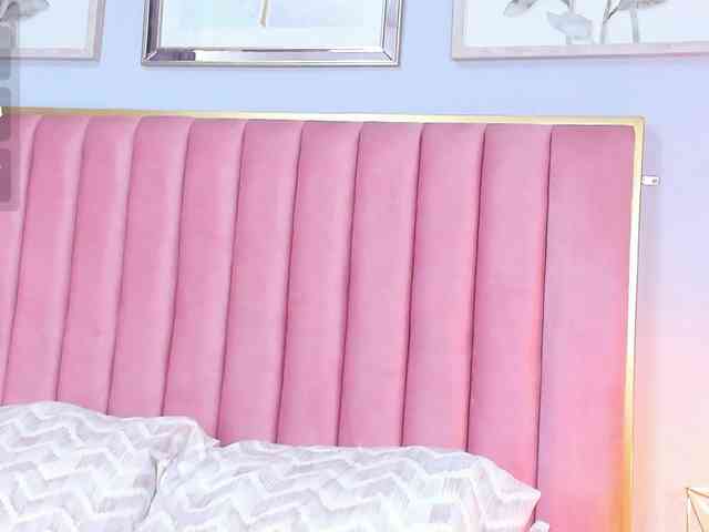CatalinaFox webcam