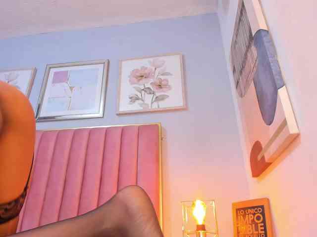 CatalinaFox webcam
